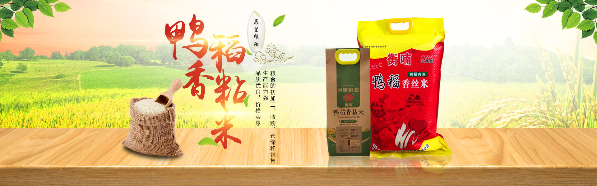 湖南省展望生物科技發(fā)展有限公司_農副產品加工|糧食收購